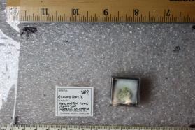 Redingtonite