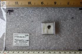 Yttrocrasite-Y