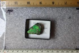 Voglite