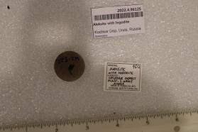 Aleksite with Ingodite