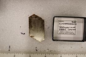 Fluorophlogopite