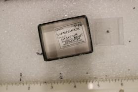 Cupropearceite