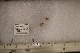 Johachidolite (2 pieces)