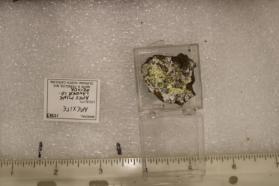 Apexite