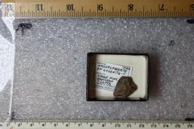 Uranosphaerite with Euxenite-Y