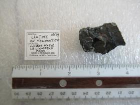 Lautite with Tennantite