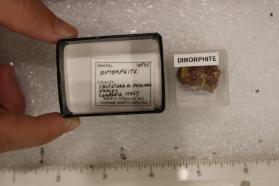 Dimorphite