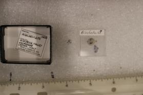 Biachellaite