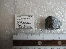 Marinellite