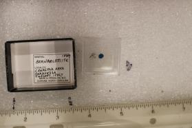 Bernarlottiite (Missing)