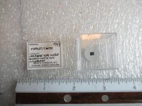 Natrotitanite