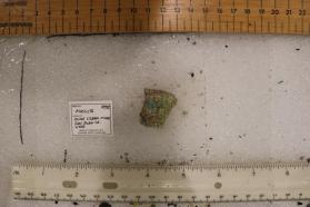 Plasilite