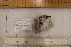 Pseudomalachite