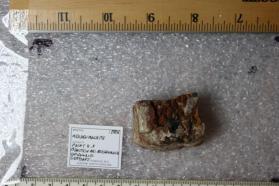 Reichenbachite