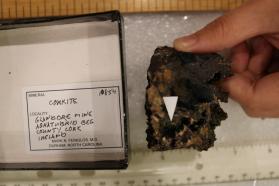 Corkite