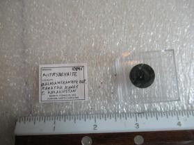 Mitryaevaite