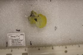 Brucite