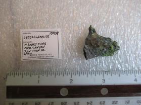 Leoszilardite