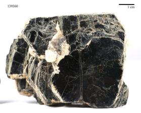 Biotite