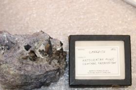 Creedite