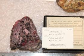 Erythrite with Belorite