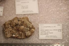 Fluorapophyllite