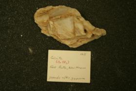 Calcite pseudo after Gypsum