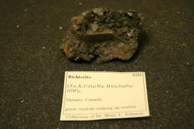 Richterite