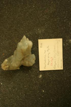 Chalcedony, var. Angel Wing Agate