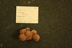 Barite