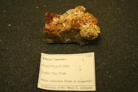 Apatite (Flor)