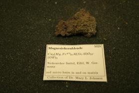 Magnesiohornblende