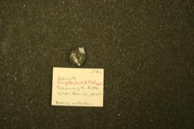 Colusite