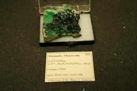 Atacamite, Chrysochella