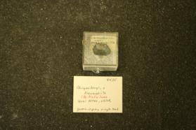 Chrysoberyl, v. Alexandrite