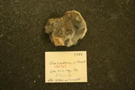 Chalcedony, var. Chert