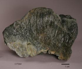 Actinolite