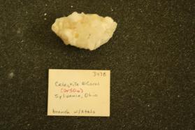 Celestite @ Coral