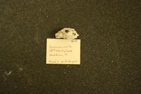 Ferrocolumbite