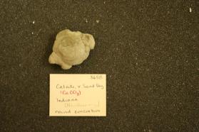 Calcite, V. Sand Dog