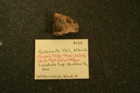 Calkinsite