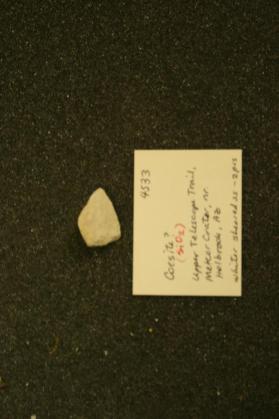 Coesite