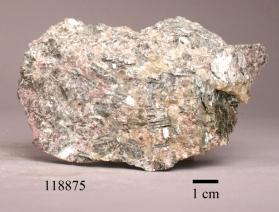 Sekaninaite with ALMANDINE and chlorophyllite