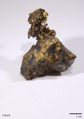 Gold with Quartz