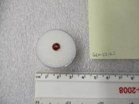 SPINEL