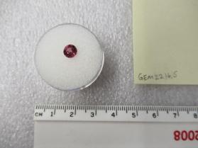 SPINEL