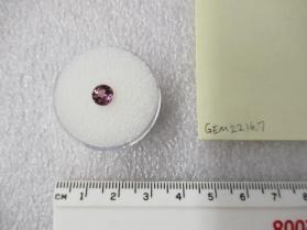 SPINEL