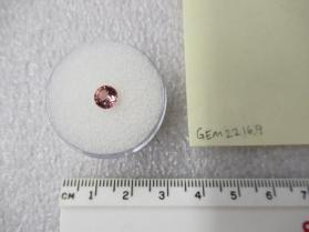 SPINEL