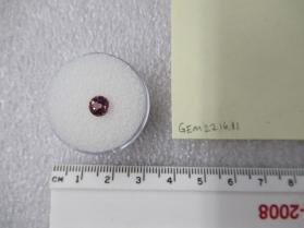 SPINEL