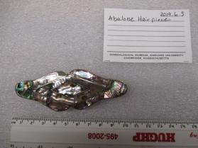 Abalone Hair Clip